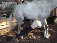 Horse Thrust his Huge Cock Inside Her Ass